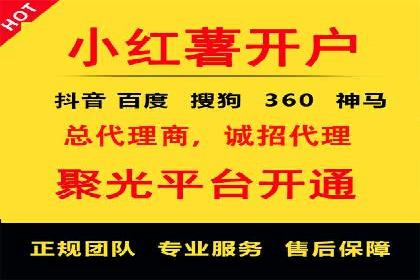 SEM投放策略优化案例分析